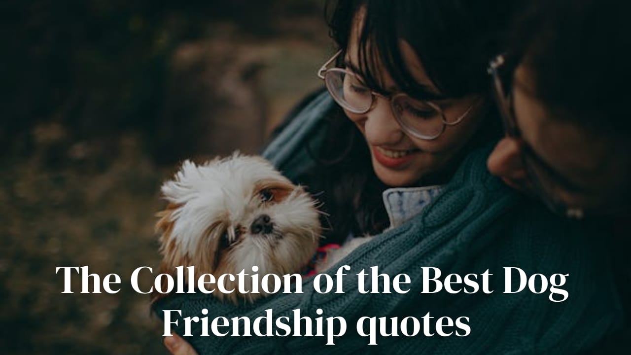 The Collection of the Best Dog Friendship quotes