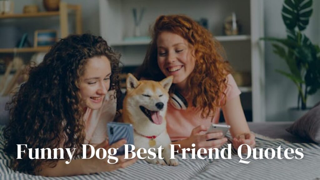 Funny Dog Best Friend Quotes