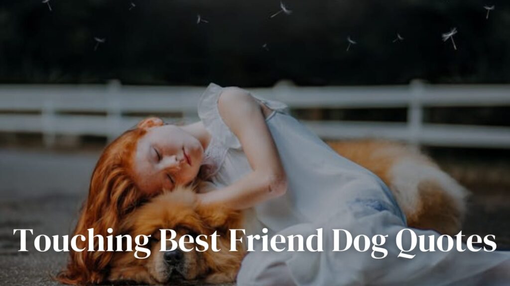 Touching Best Friend Dog Quotes