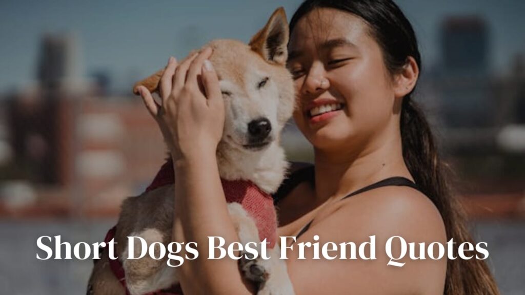 Short Dogs Best Friend Quotes