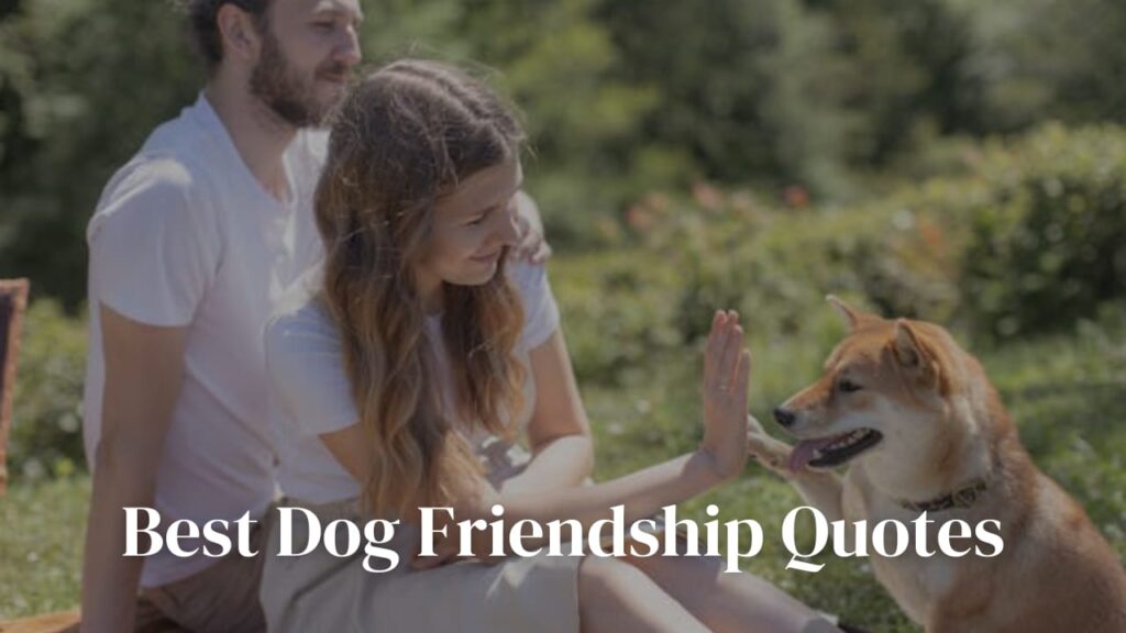 best dog friendship quotes 